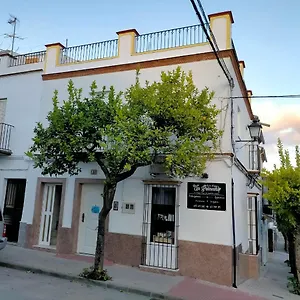 Jacaranda Prado Del Rey